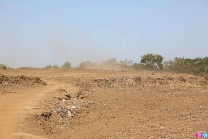 Anuncian Plan de Restauración de los Sistemas Agroforestales para reducir tolvaneras