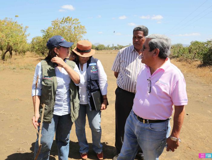 Anuncian Plan de Restauración de los Sistemas Agroforestales para reducir tolvaneras