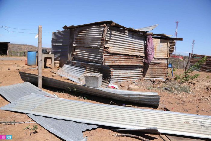 Anuncian Plan de Restauración de los Sistemas Agroforestales para reducir tolvaneras