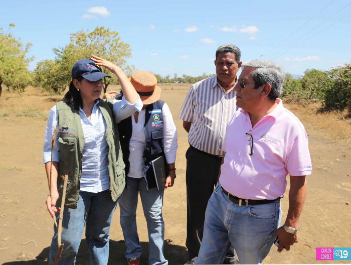 Anuncian Plan de Restauración de los Sistemas Agroforestales para reducir tolvaneras