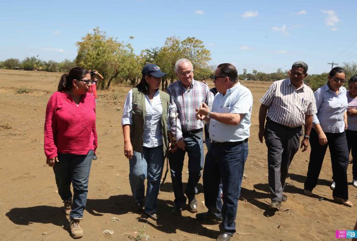 Anuncian Plan de Restauración de los Sistemas Agroforestales para reducir tolvaneras