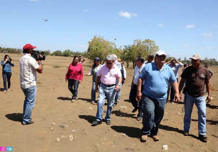 Anuncian Plan de Restauración de los Sistemas Agroforestales para reducir tolvaneras