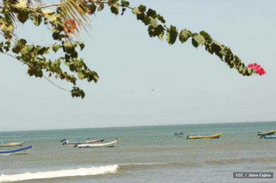 Familias de Masachapa participan masivamente en simulacros de terremoto y tsunami  
