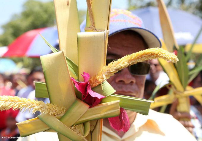 Cardenal Brenes preside peregrinación en honor a Jesús del Triunfo y misa de Domingo de Ramos 