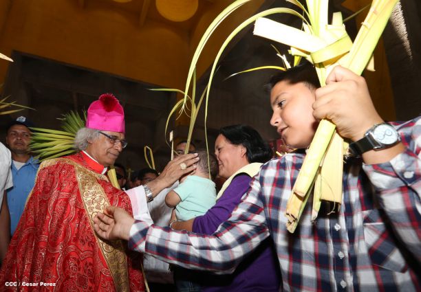Cardenal Brenes preside peregrinación en honor a Jesús del Triunfo y misa de Domingo de Ramos 