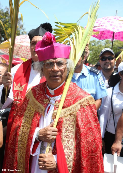 Cardenal Brenes preside peregrinación en honor a Jesús del Triunfo y misa de Domingo de Ramos 