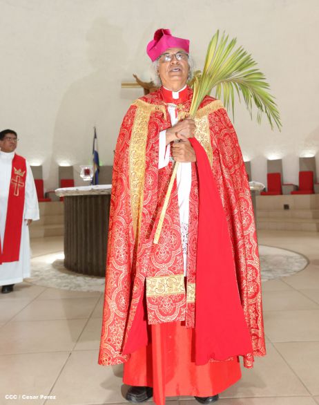 Cardenal Brenes preside peregrinación en honor a Jesús del Triunfo y misa de Domingo de Ramos 