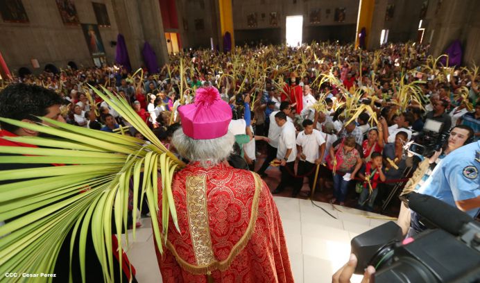 Cardenal Brenes preside peregrinación en honor a Jesús del Triunfo y misa de Domingo de Ramos 