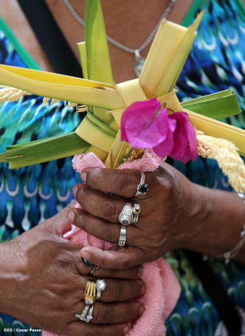 Cardenal Brenes preside peregrinación en honor a Jesús del Triunfo y misa de Domingo de Ramos 