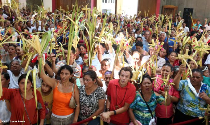 Cardenal Brenes preside peregrinación en honor a Jesús del Triunfo y misa de Domingo de Ramos 
