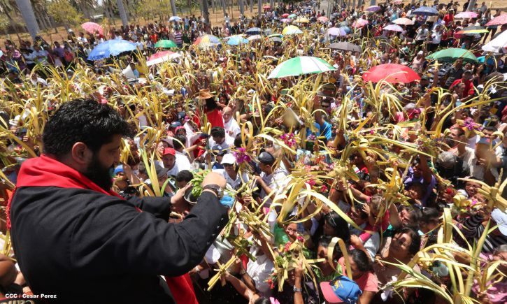 Cardenal Brenes preside peregrinación en honor a Jesús del Triunfo y misa de Domingo de Ramos 