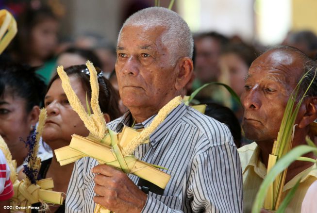 Cardenal Brenes preside peregrinación en honor a Jesús del Triunfo y misa de Domingo de Ramos 