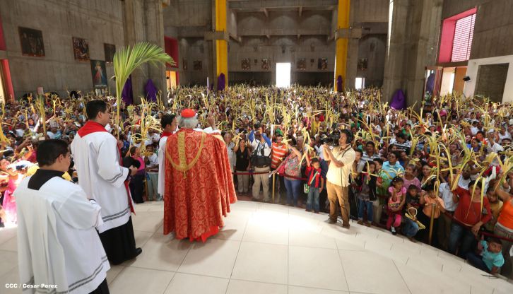Cardenal Brenes preside peregrinación en honor a Jesús del Triunfo y misa de Domingo de Ramos 