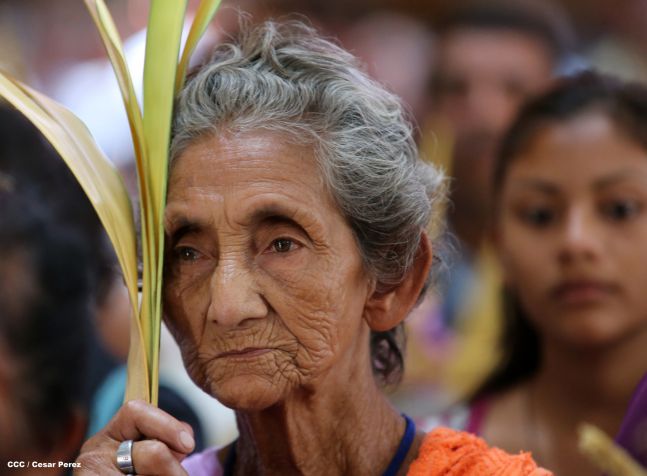 Cardenal Brenes preside peregrinación en honor a Jesús del Triunfo y misa de Domingo de Ramos 