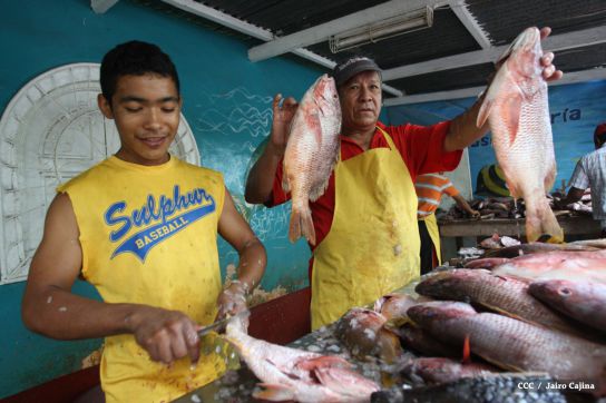 Gobierno Sandinista desarrolla planes de trabajo con cooperativas pesqueras de Masachapa