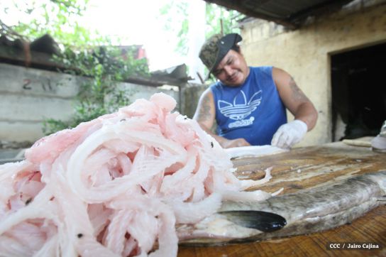 Gobierno Sandinista desarrolla planes de trabajo con cooperativas pesqueras de Masachapa