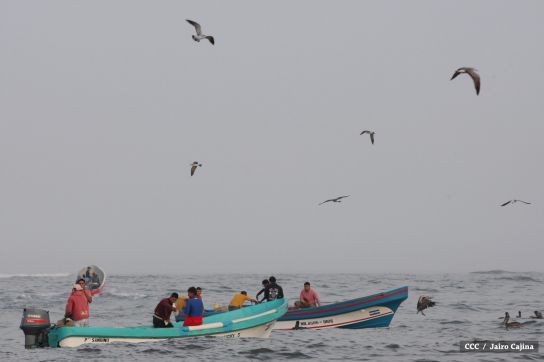 Gobierno Sandinista desarrolla planes de trabajo con cooperativas pesqueras de Masachapa