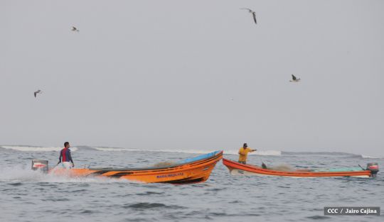 Gobierno Sandinista desarrolla planes de trabajo con cooperativas pesqueras de Masachapa