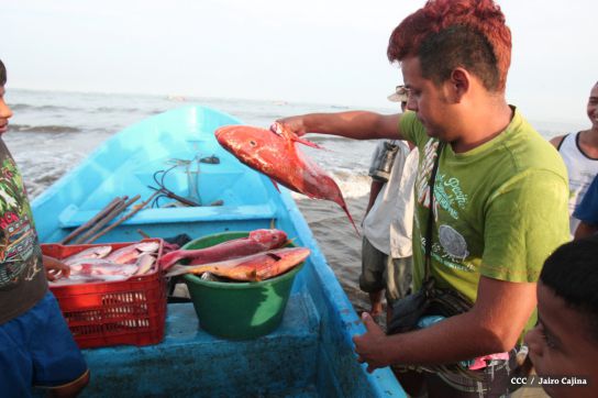 Gobierno Sandinista desarrolla planes de trabajo con cooperativas pesqueras de Masachapa