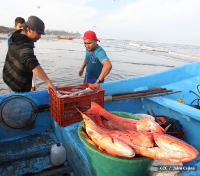 Gobierno Sandinista desarrolla planes de trabajo con cooperativas pesqueras de Masachapa