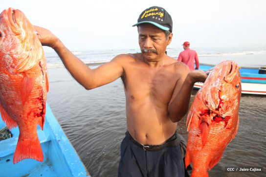 Gobierno Sandinista desarrolla planes de trabajo con cooperativas pesqueras de Masachapa