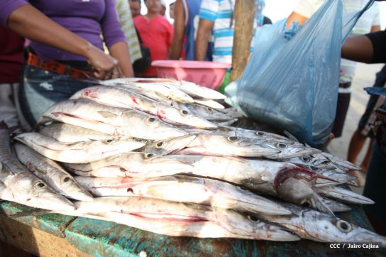 Gobierno Sandinista desarrolla planes de trabajo con cooperativas pesqueras de Masachapa