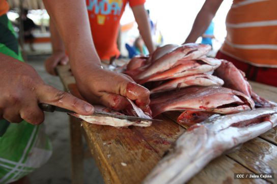 Gobierno Sandinista desarrolla planes de trabajo con cooperativas pesqueras de Masachapa