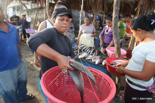 Gobierno Sandinista desarrolla planes de trabajo con cooperativas pesqueras de Masachapa