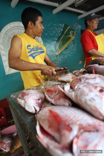 Gobierno Sandinista desarrolla planes de trabajo con cooperativas pesqueras de Masachapa