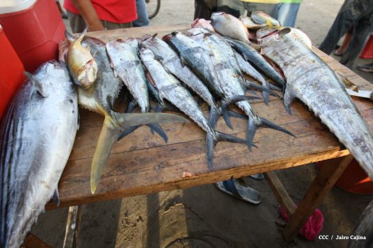 Gobierno Sandinista desarrolla planes de trabajo con cooperativas pesqueras de Masachapa