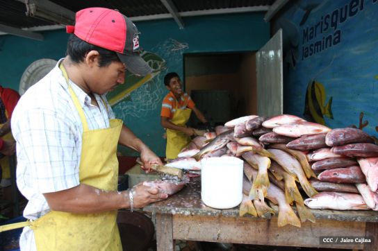 Gobierno Sandinista desarrolla planes de trabajo con cooperativas pesqueras de Masachapa