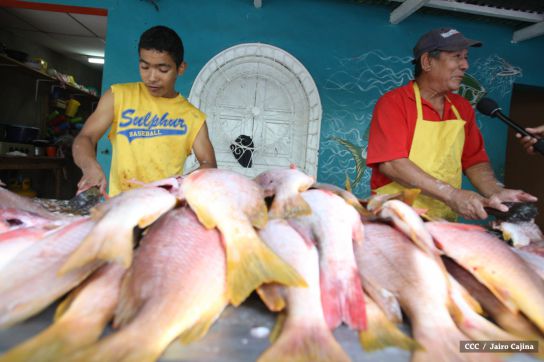 Gobierno Sandinista desarrolla planes de trabajo con cooperativas pesqueras de Masachapa