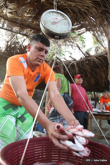 Gobierno Sandinista desarrolla planes de trabajo con cooperativas pesqueras de Masachapa