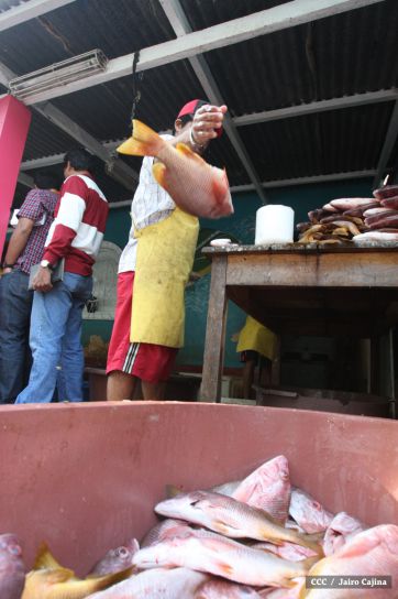 Gobierno Sandinista desarrolla planes de trabajo con cooperativas pesqueras de Masachapa