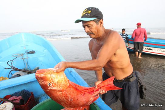Gobierno Sandinista desarrolla planes de trabajo con cooperativas pesqueras de Masachapa