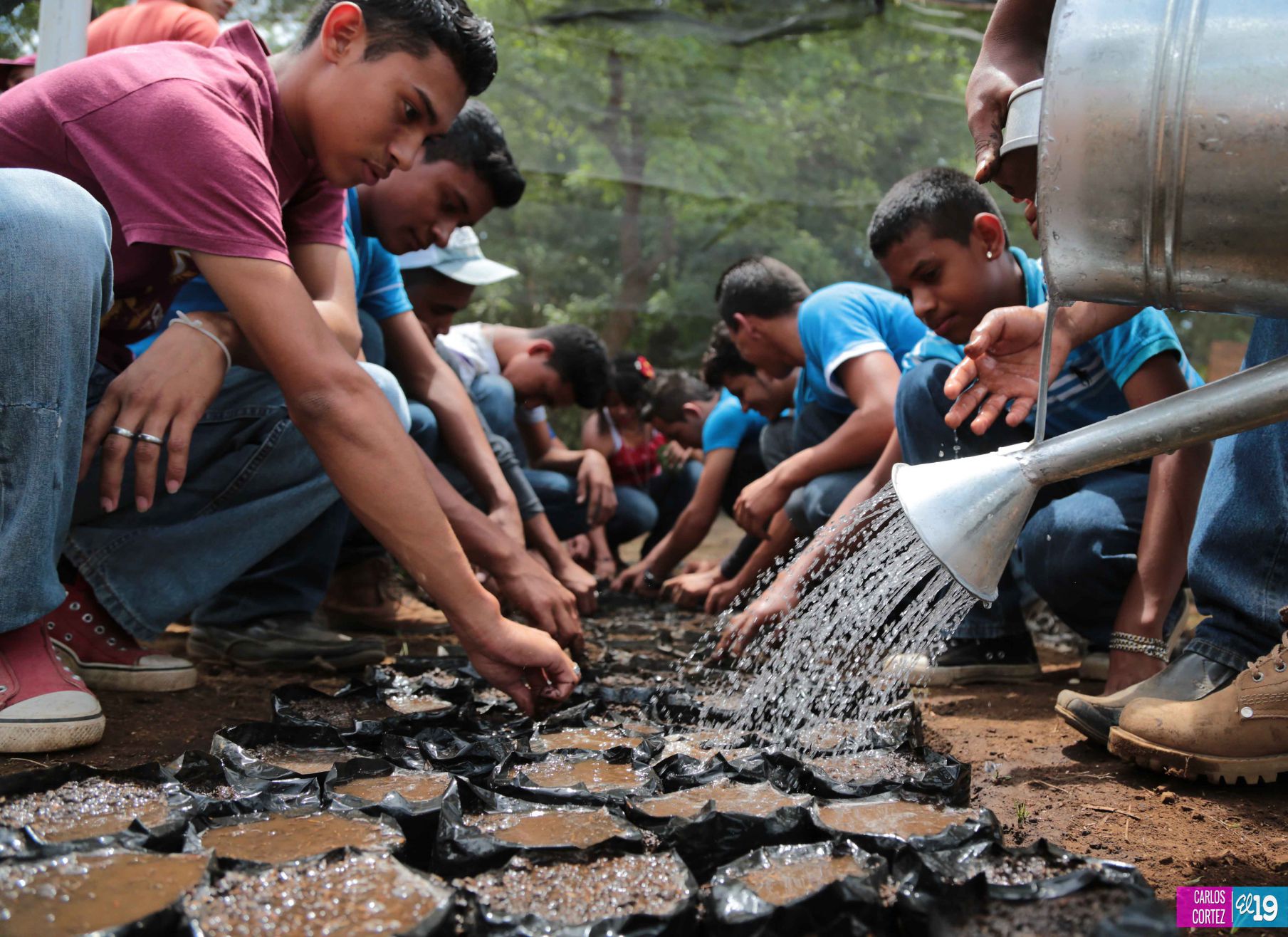 Tecnológico Agropecuario de Chinandega “Carlos Manuel Vanegas”