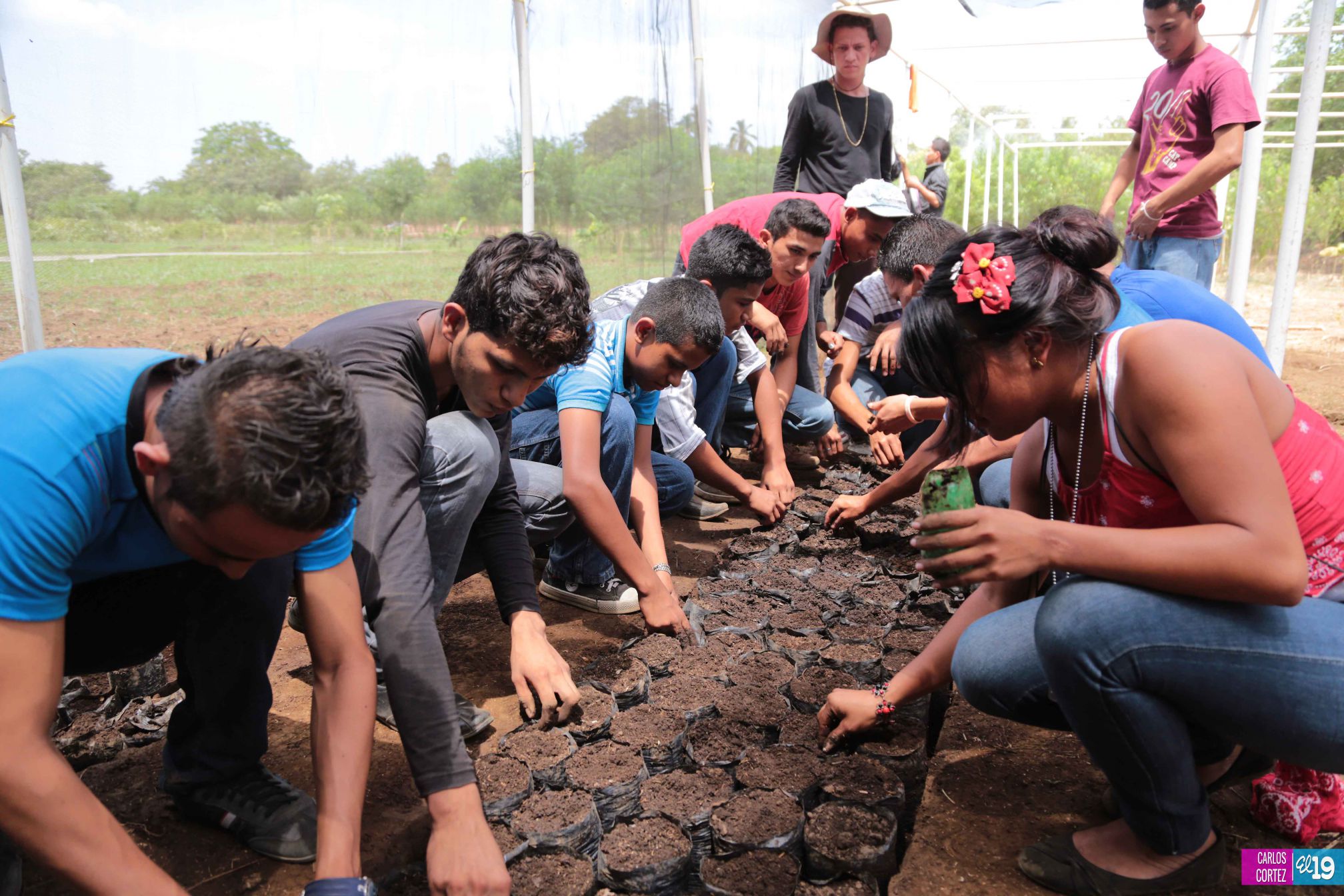 Tecnológico Agropecuario de Chinandega “Carlos Manuel Vanegas”
