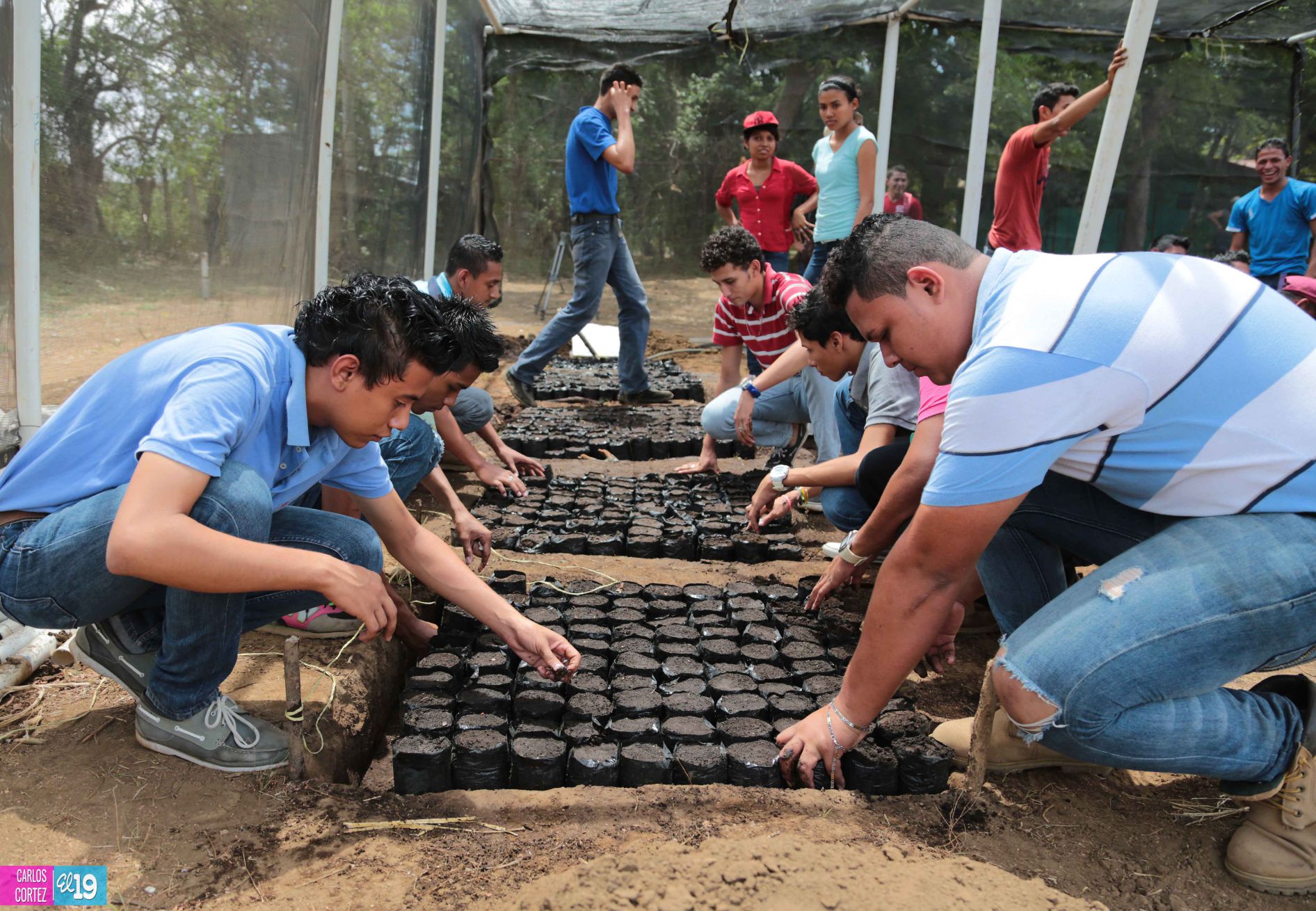 Tecnológico Agropecuario de Chinandega “Carlos Manuel Vanegas”