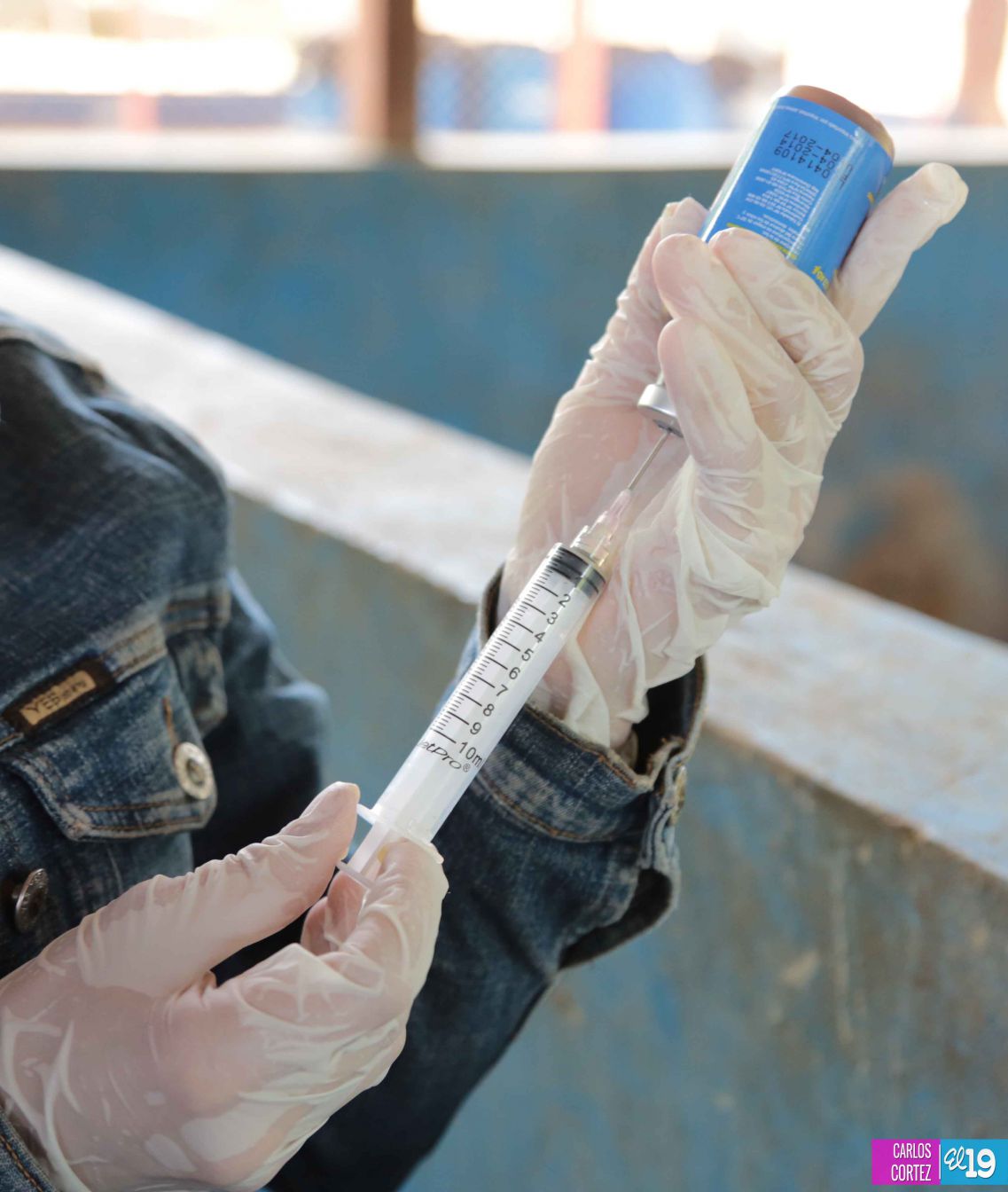 Tecnológico Agropecuario de Chinandega “Carlos Manuel Vanegas”