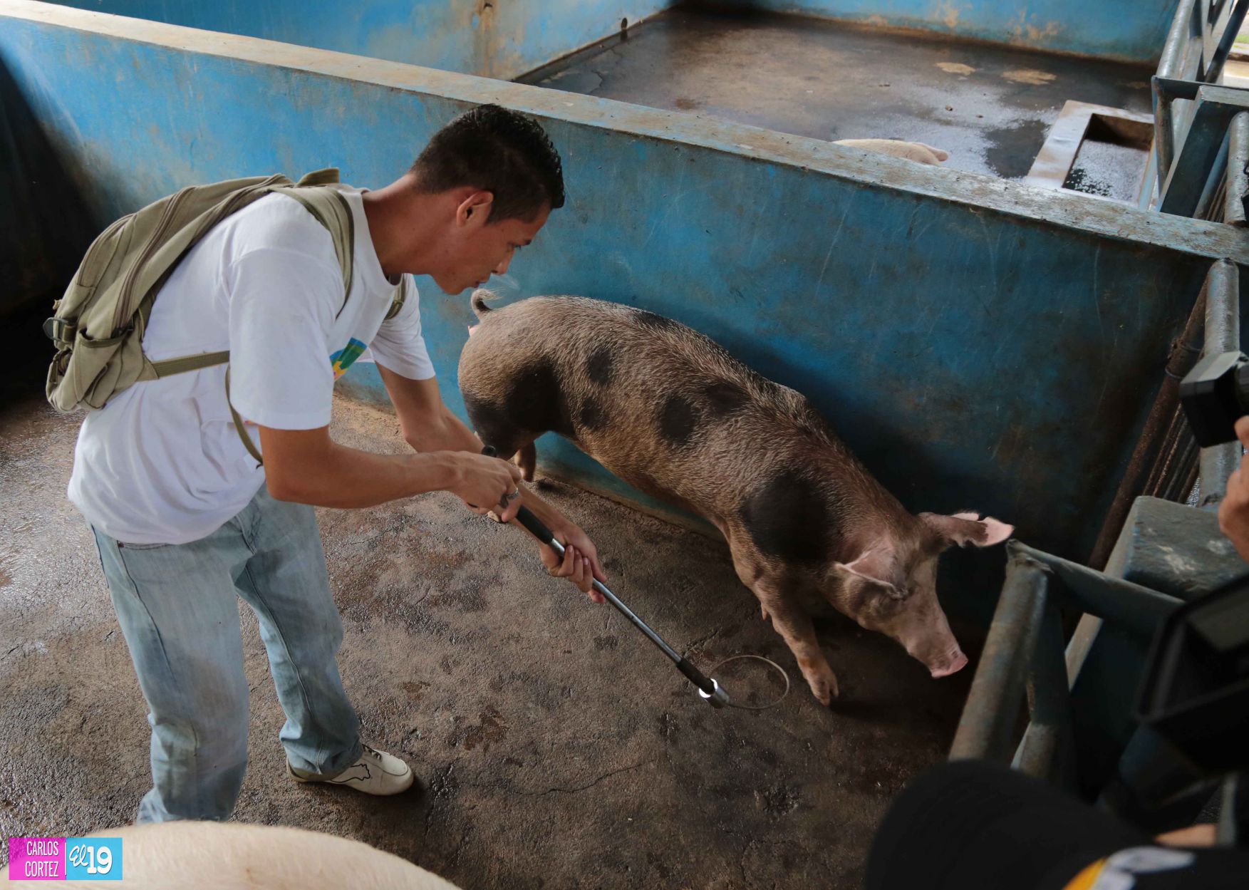 Tecnológico Agropecuario de Chinandega “Carlos Manuel Vanegas”