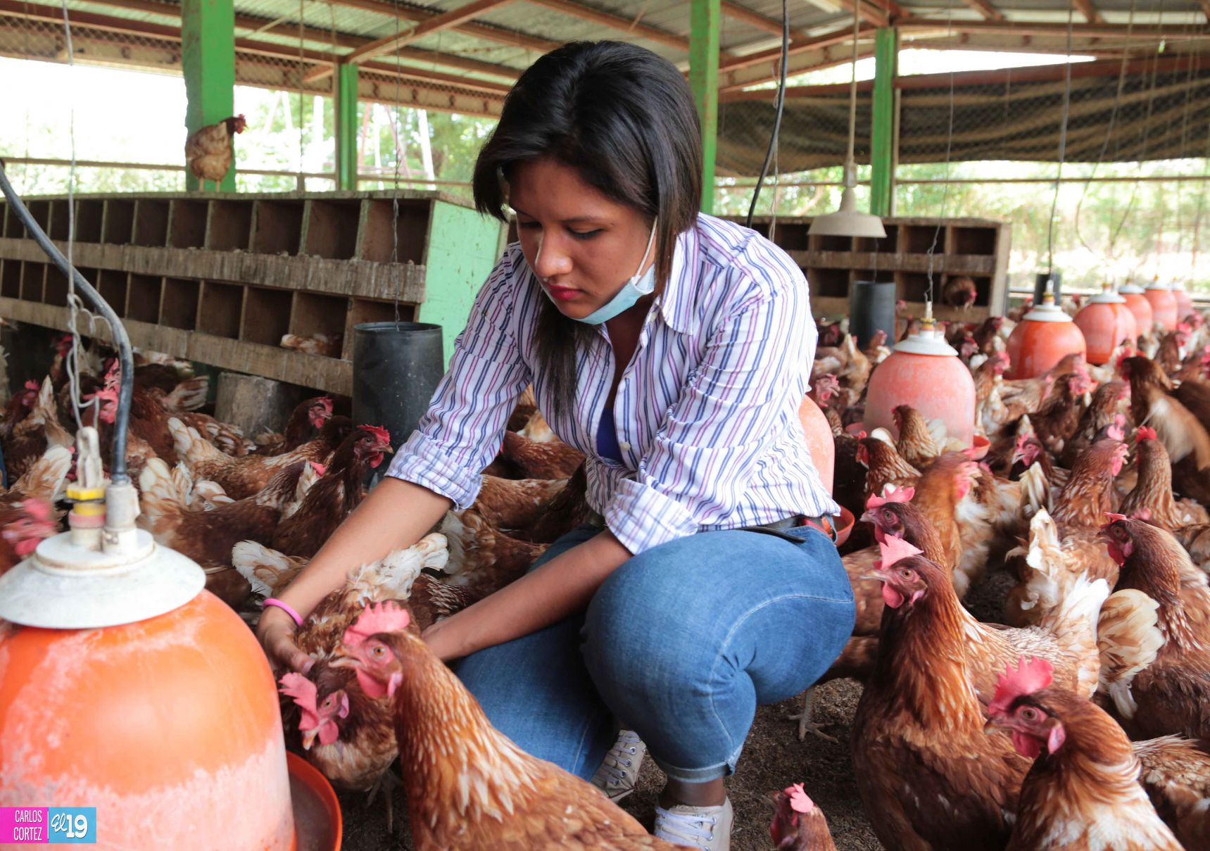 Tecnológico Agropecuario de Chinandega “Carlos Manuel Vanegas”