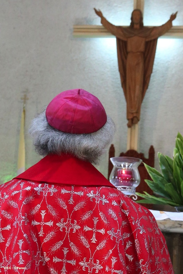 Procesión de la Burrita en Managua (Semana Santa 2013)