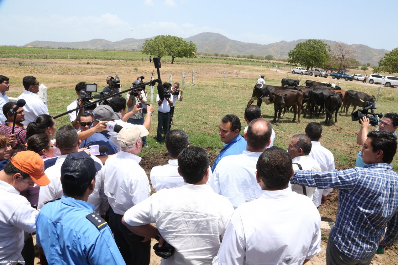 Presidente de Honduras conoce experiencia ganadera de Nicaragua