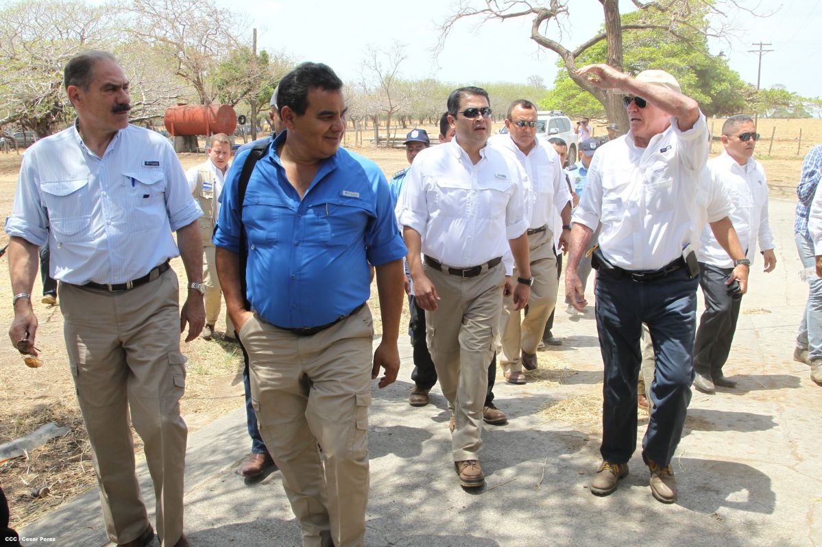Presidente de Honduras conoce experiencia ganadera de Nicaragua