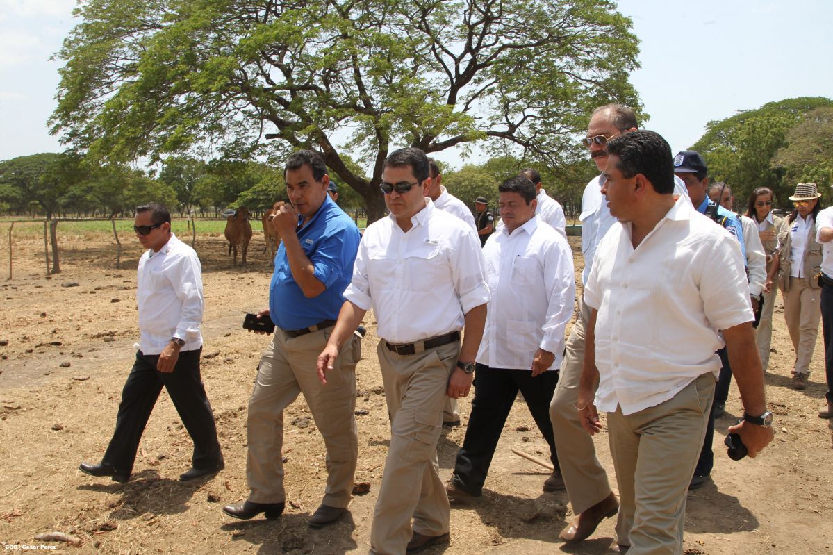 Presidente de Honduras conoce experiencia ganadera de Nicaragua