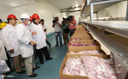 Presidente Daniel inaugura unidad ganadera integral de Sukarne