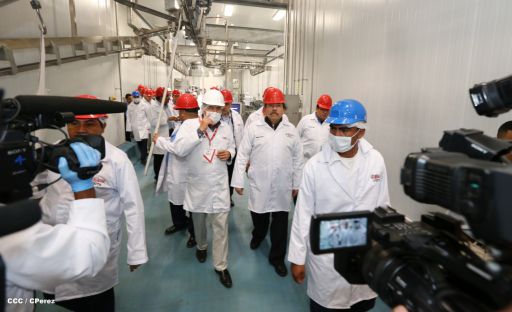 Presidente Daniel inaugura unidad ganadera integral de Sukarne