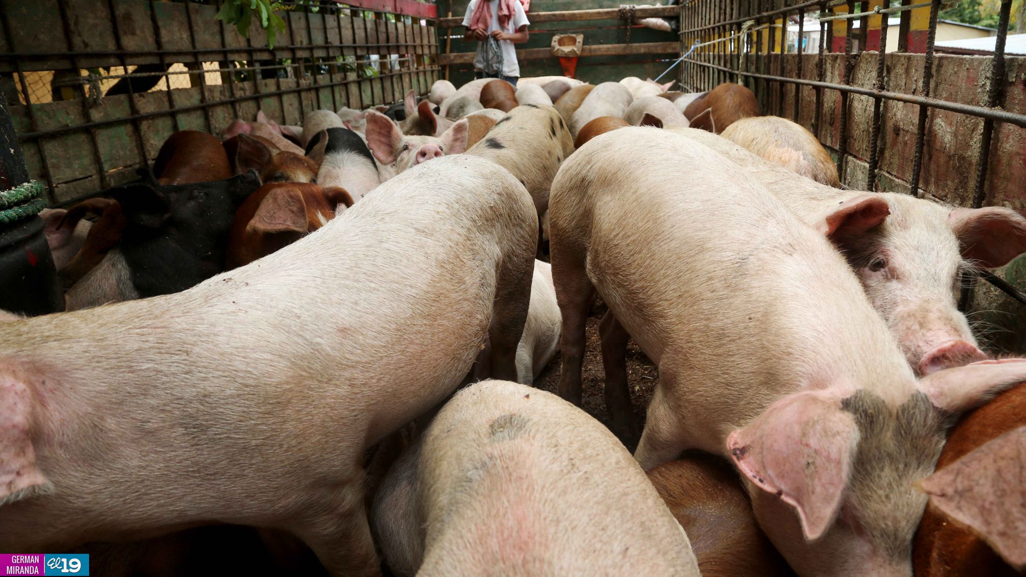 Boaco: Familias reciben Bono Productivo bajo nueva metodología