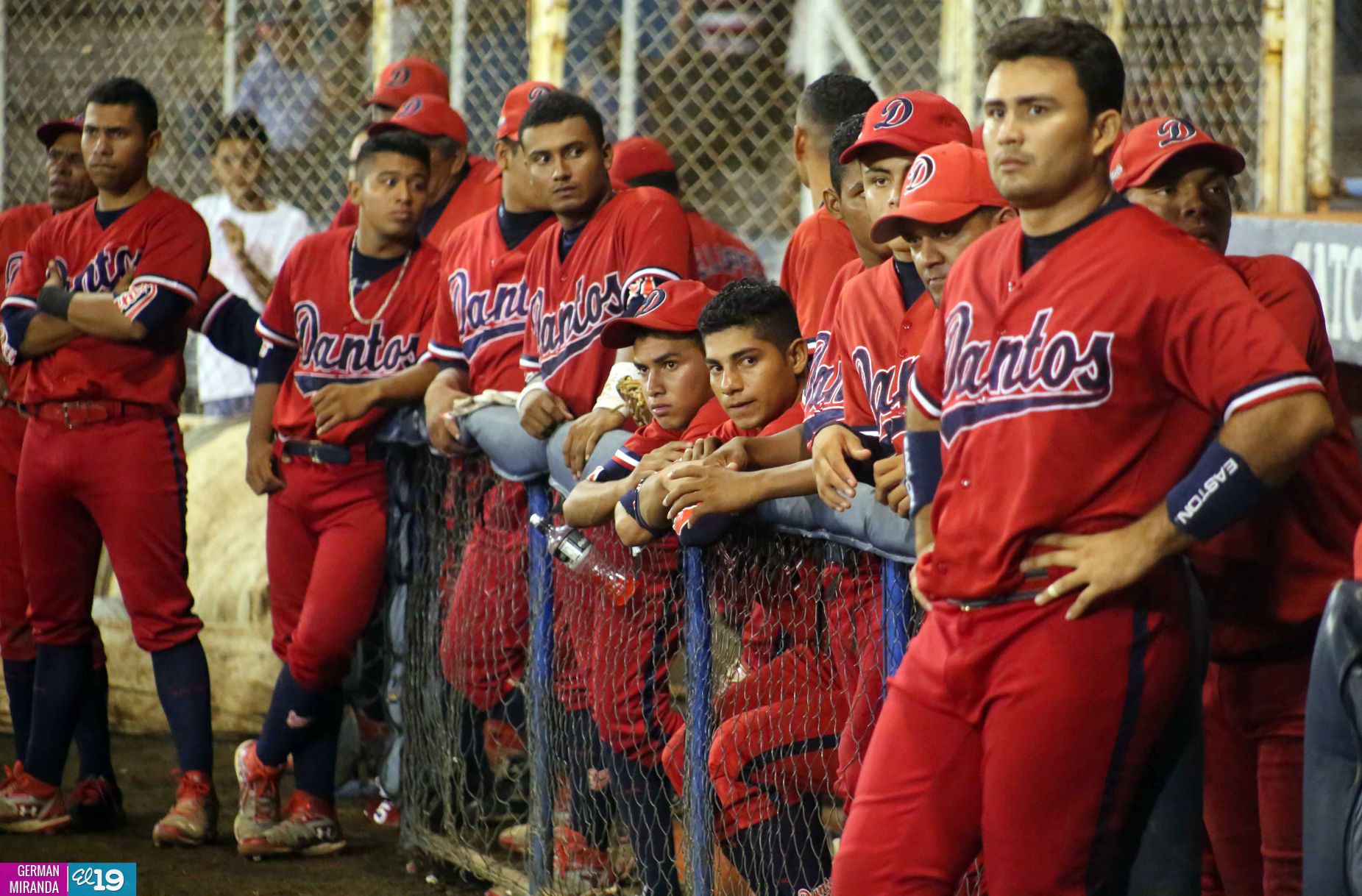 Leones eliminan a los Dantos y pasan a la final del Pomares