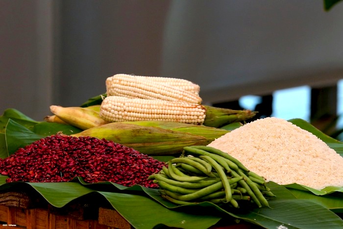 Presidente Daniel presenta Plan de Producción, Consumo y Exportación 2013